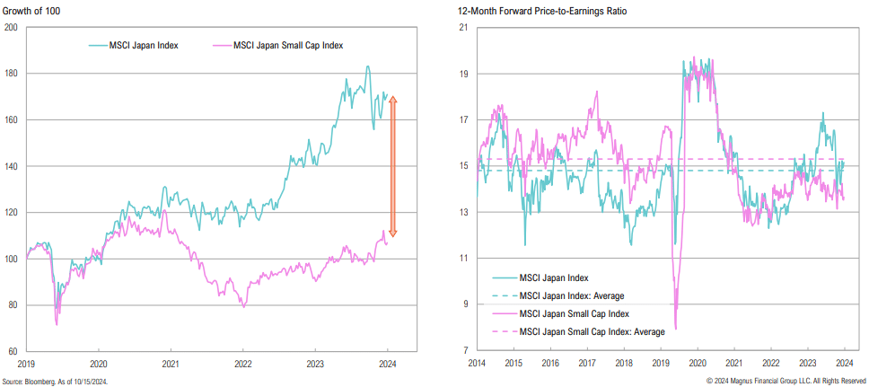 Japan index growth and P/E ratio graphs, 2019-2024.
