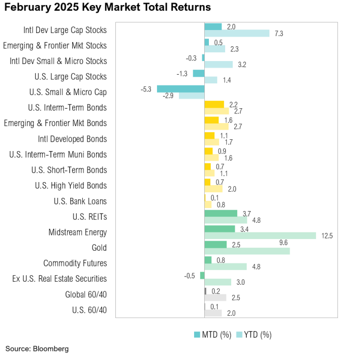 February 2025 market returns comparison chart.