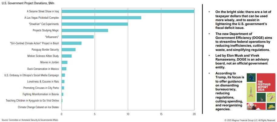 Bar chart of U.S. government project donations.